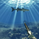 Pescatore all'agguato